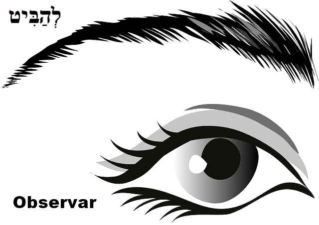 Verbo Hebraico Observar