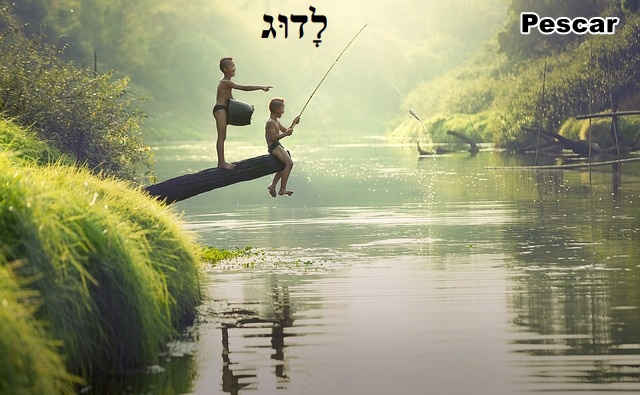 Verbo Hebraico Pescar