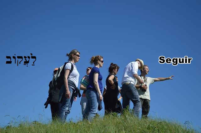 Verbo Hebraico Seguir